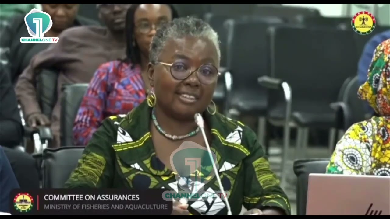 Гана получит лицензии на рыболовные каноэ с транспондерами после пиратского нападения.