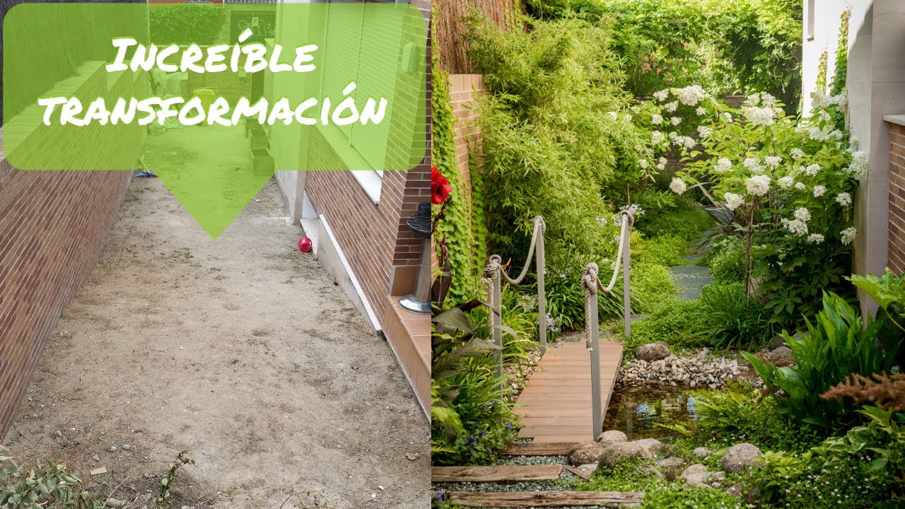 🌴 Un jardín tropical en la ciudad - Reforma