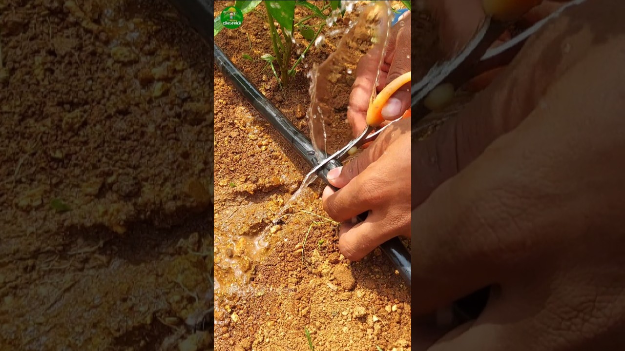 Usefull product for drip irrigation👌🏻👌🏻