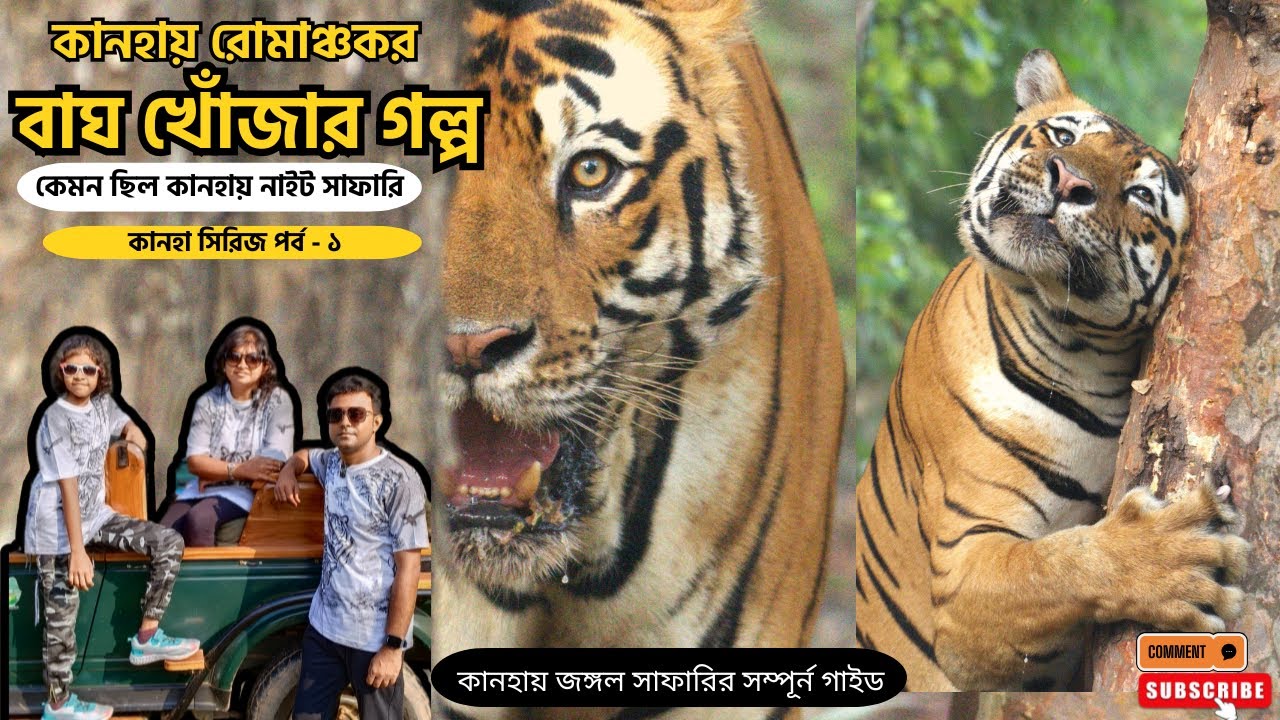 কানহায় রোমাঞ্চকর বাঘ খোঁজার গল্প I Kanha National Park Tour I Kanha Tour Guide 2024 I Kanha Bengoli