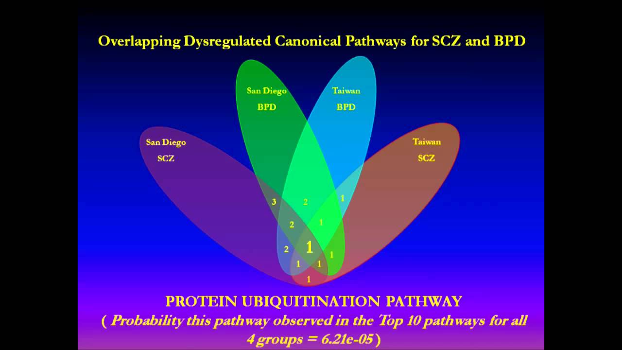 Professor Ian Everall - Gene expression in schizophrenia