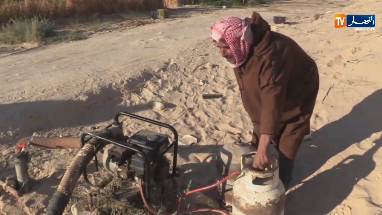 الوادي : فلاحون يستعينون بقارورات الغاز لإنتاج عشرات الأطنان من الطماطم