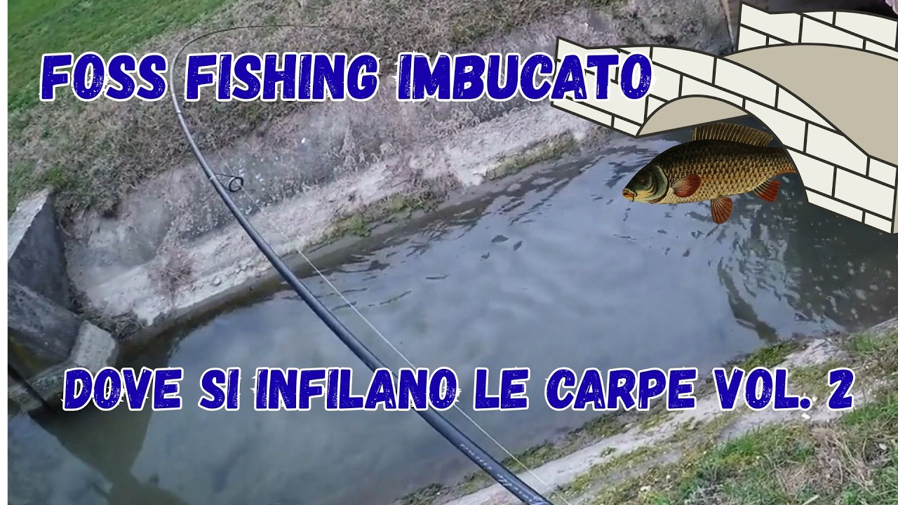 Foss fishing imbucato vol. 2