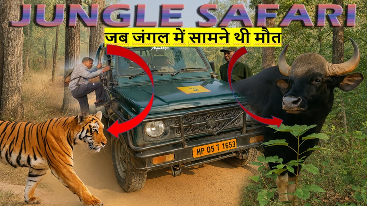 Pachmarhi Jungle Safari Vlog 2025 | Satpura Tiger Reserve Jeep Ride & Wildlife Adventure