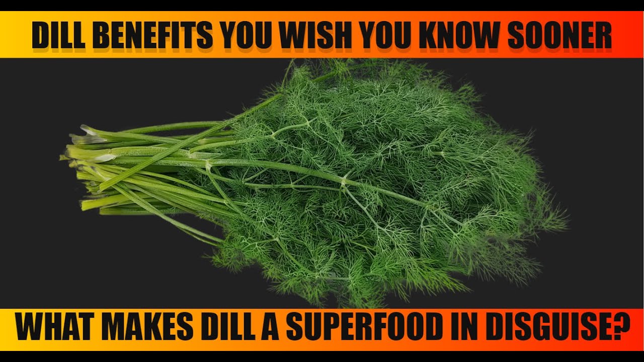 The Health Benefits of Dill: A Must Have Herb! #Dill #NaturalRemedies #HerbalMedicine #HealthyLiving