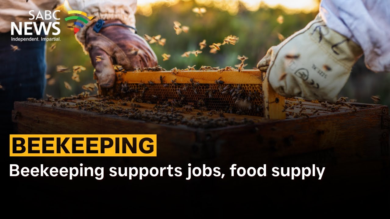 Beekeeping supports jobs, food supply