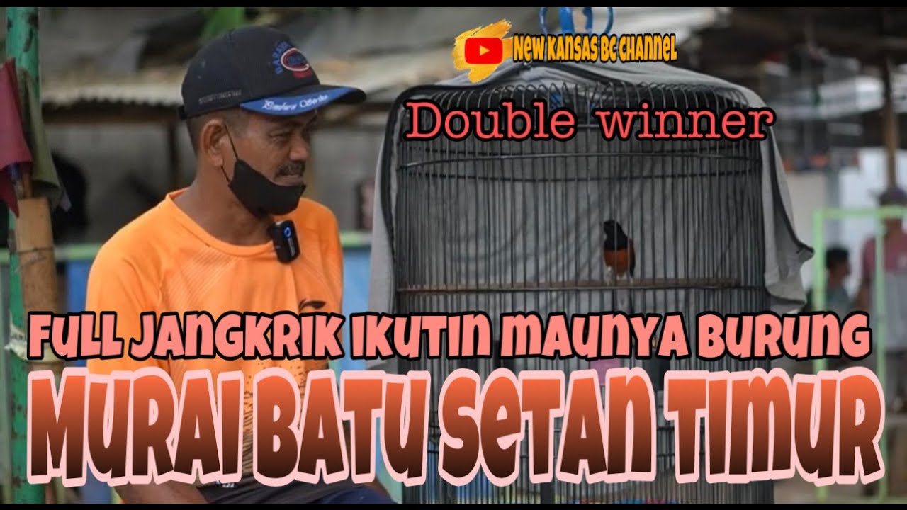 MURAI BATU SETAN TIMUR FULL JANGKRIK IKUTIN MAUNYA BURUNG