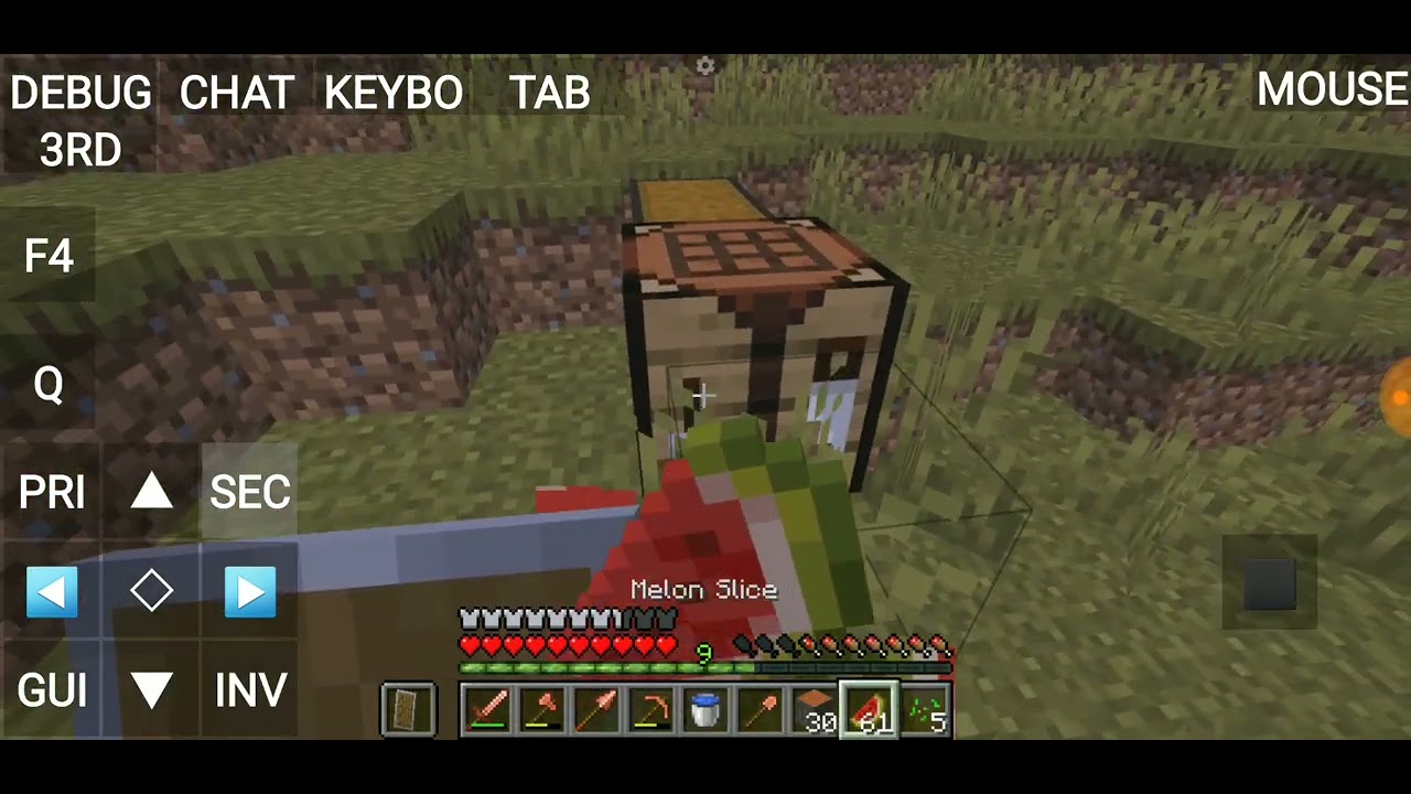 Making house in minecraft 
