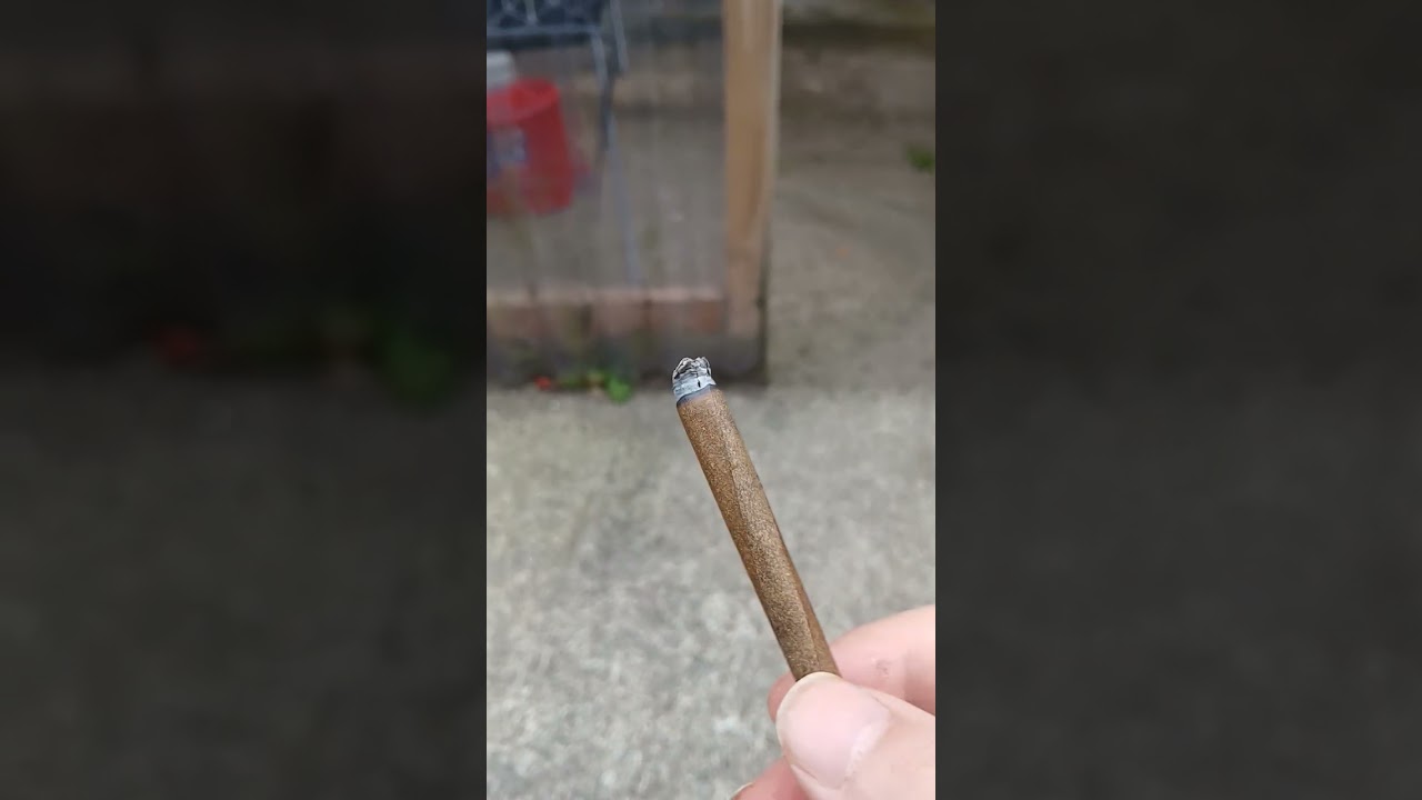 blunt wrap