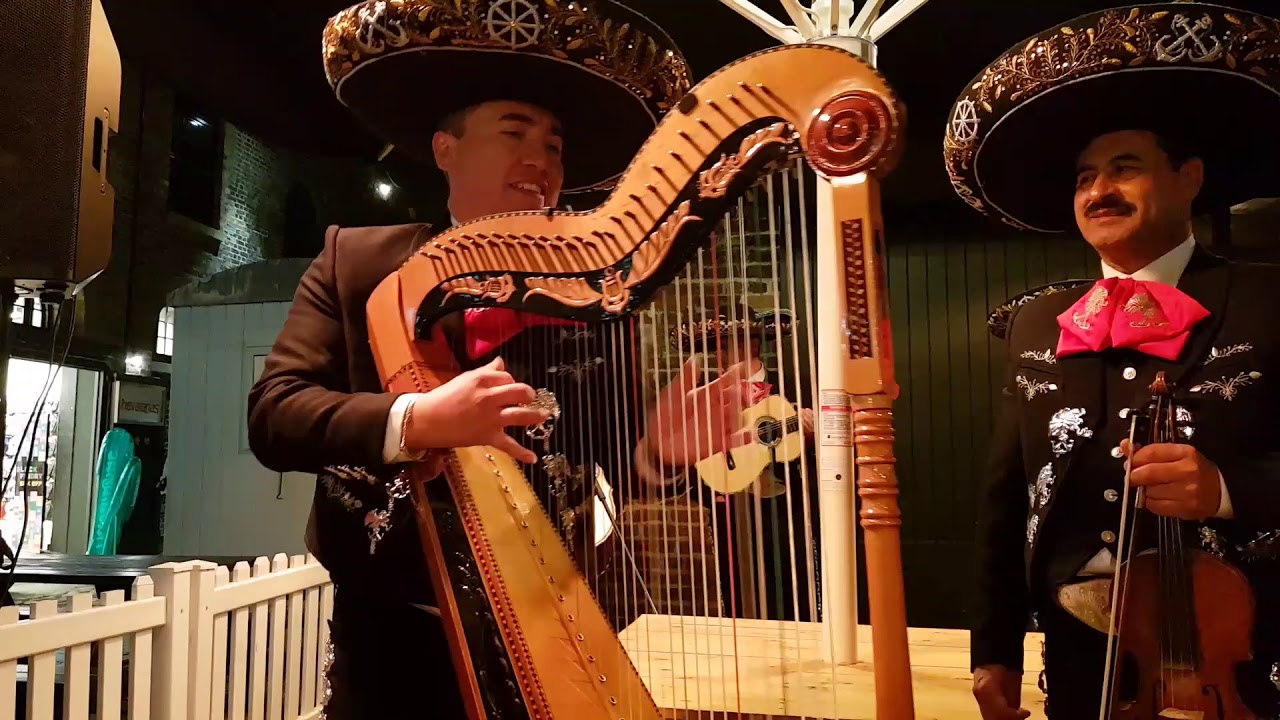Mariachi de Marina, el cascabel (solo de Arpa)