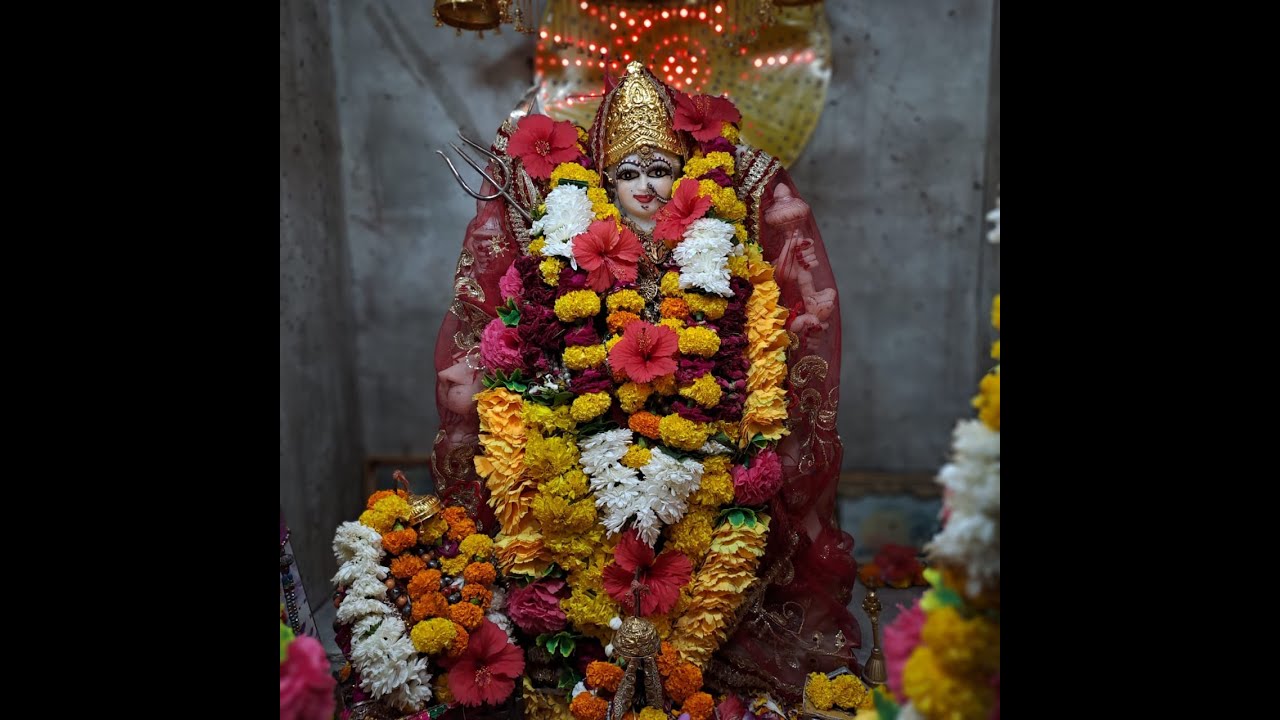 Kar satsang aur bhajan dheere dheere | 58th #vishal #vaishnodevi #yatra #jalwaleguruji | 2022