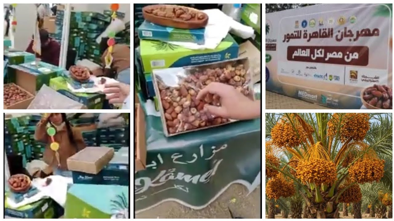 مهرجان و معرض التمور 2025 بحديقة الحرية بالزمالك انواع و اسعار التمور رمضان كريم