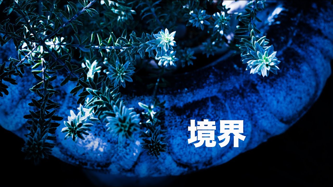 【野村誠一写真塾No369】人・枯れ草・影・境界  写真が止まる