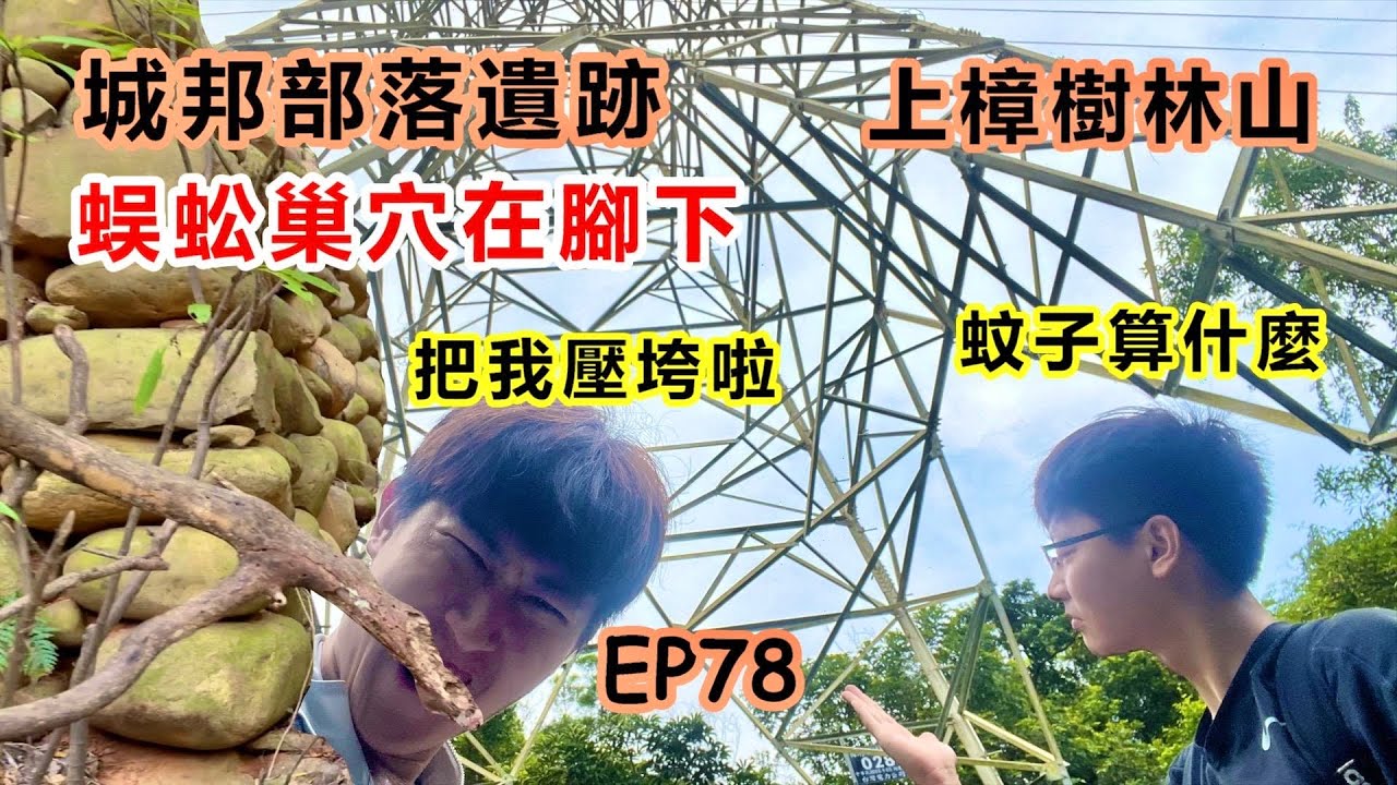 【新埔上樟樹林山】先民城邦部落遺跡｜電塔下的生物膽戰心驚｜五毒之一的蜈蚣巢穴｜重回郊山魂的悸動｜蚊子咬全身滿包｜有風景的私人土地｜新竹探險未果目標之四｜新竹一日遊『郊山爬爬造EP78』