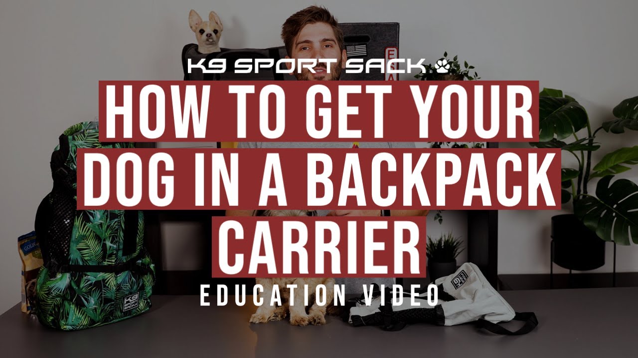 Как поместить собаку в переноску-рюкзак K9 Sport Sack