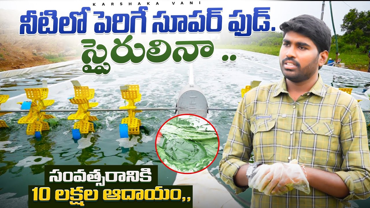 Spirulina Farming ￼| సూపర్ ఫుడ్ స్పైరులినా |10 లక్షల ఆదాయం|​@karshakavani7049