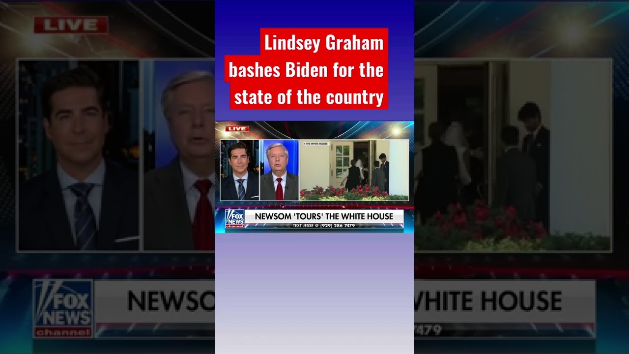 Sen. Lindsey Graham rips Biden as being toxic for the Democratic Party #shorts
