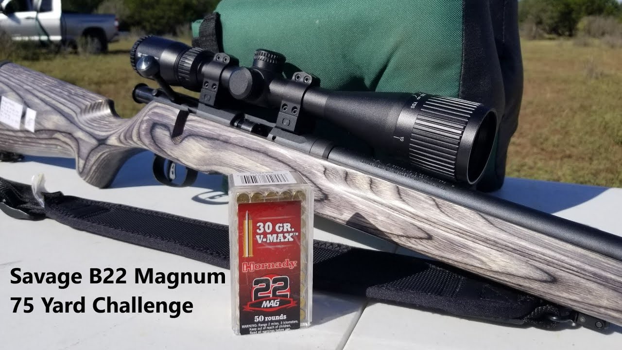 Savage B22 Magnum Challenge