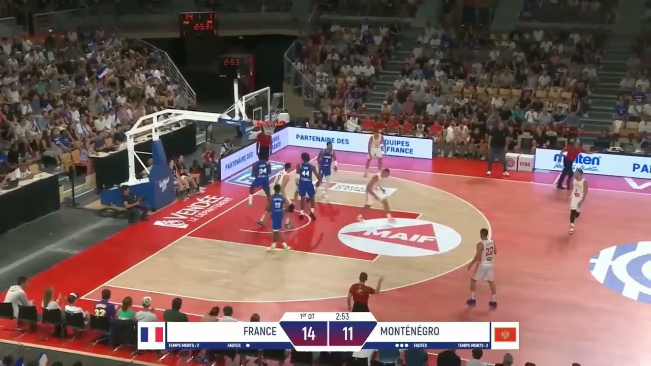Nikola Vucevic | 19 PTS | Montenegro vs France | 8.4.25