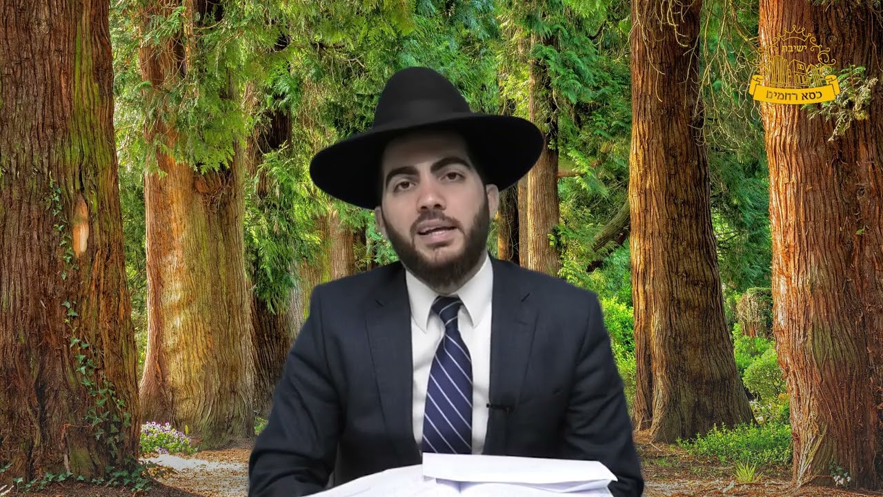 בעירוב של זמננו יש יערות ושטחים שאינם בשימוש, האם מותר לטלטל בהם? | הרב יצחק מאזוז | סימן שנח. י