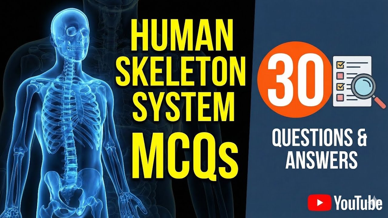 Human Skeleton System MCQs | Anatomy Quiz | Competitive Exam Preparation
