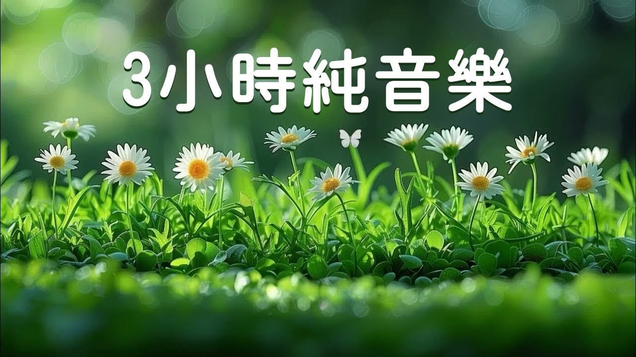 ☁️ 3 часа чистой музыки | Идеально для домашних заданий, йоги, кофе, готовки и отдыха