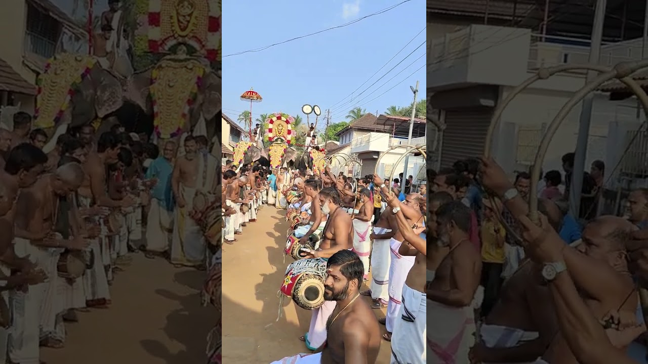 Panchavadyam led Kongad Sri Madhu Ashan Melarcode Thazhakottu Kaavu Vadakke Thara Desam 20 03 2024-3