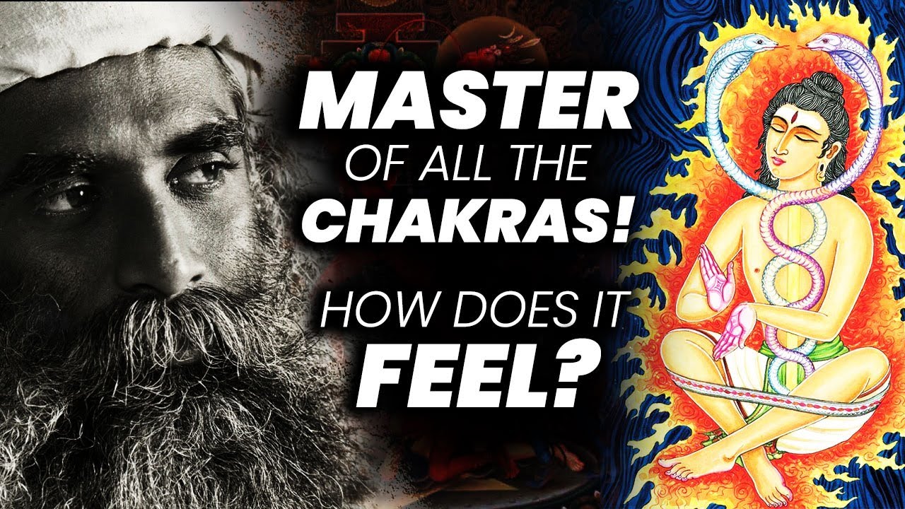 You'd Be Like Alexander Half Way! | 112  | Chakras | Master | Occult | Sadhguru | Adiyogi