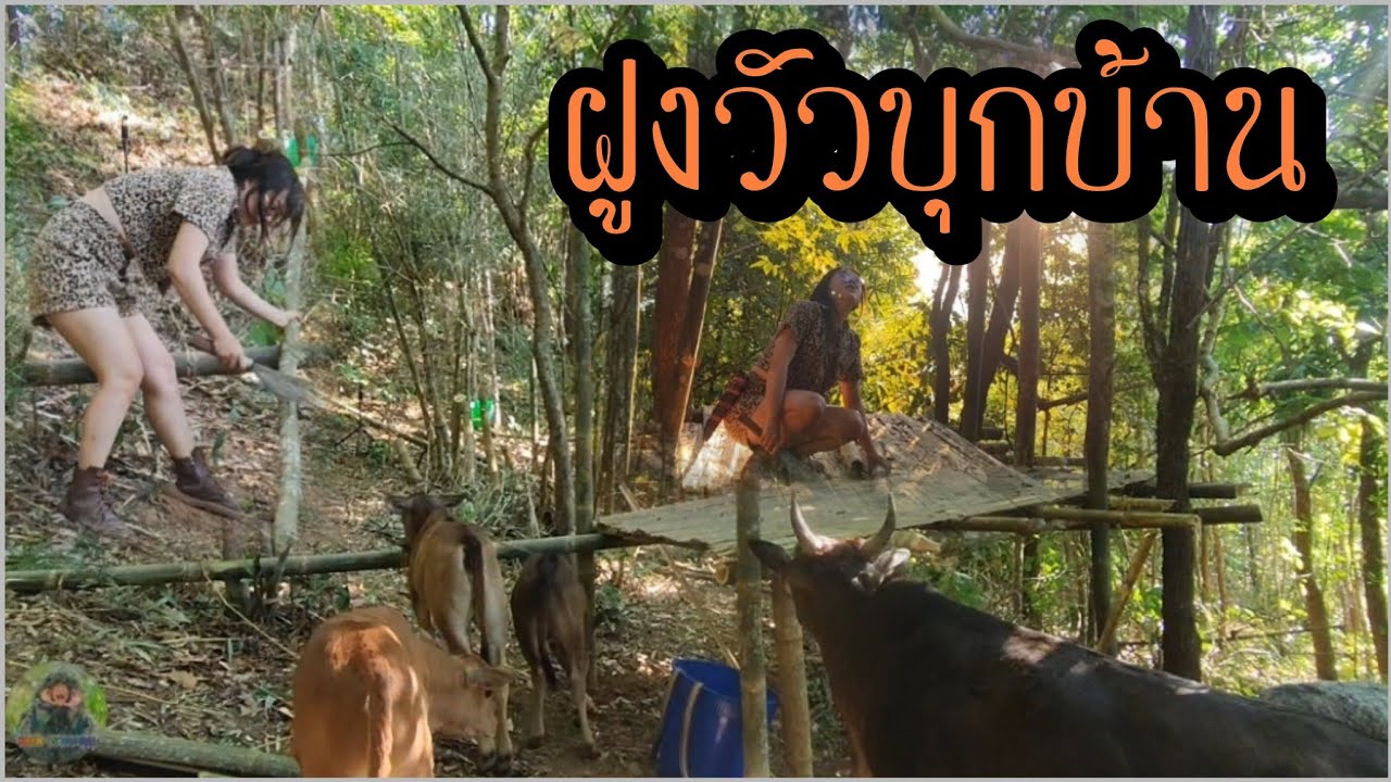 ต่อเติมที่พักวันที่ 5 ลงเสา ทำคานบ้าน เตรียมมุงหลังคา ep.4