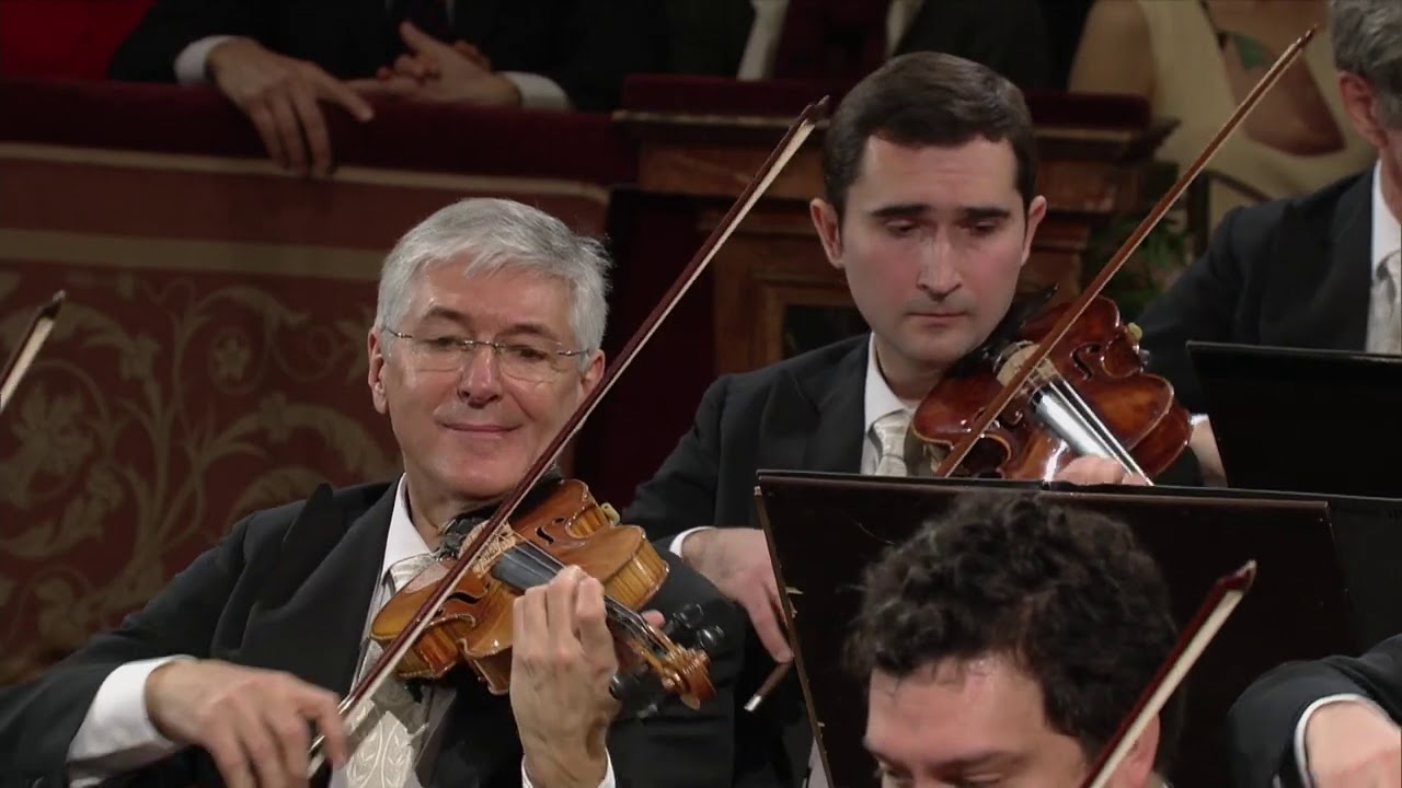 Vienna Philharmonic Orchestra Academy