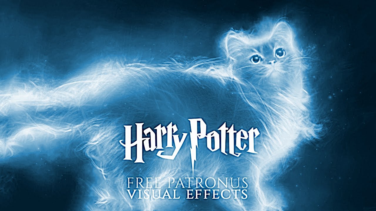 Expecto Patronum FREE effect ◈ Cat Patronus Pack (Playing, sitting, sleeping)  ◈ Harry Potter VFX