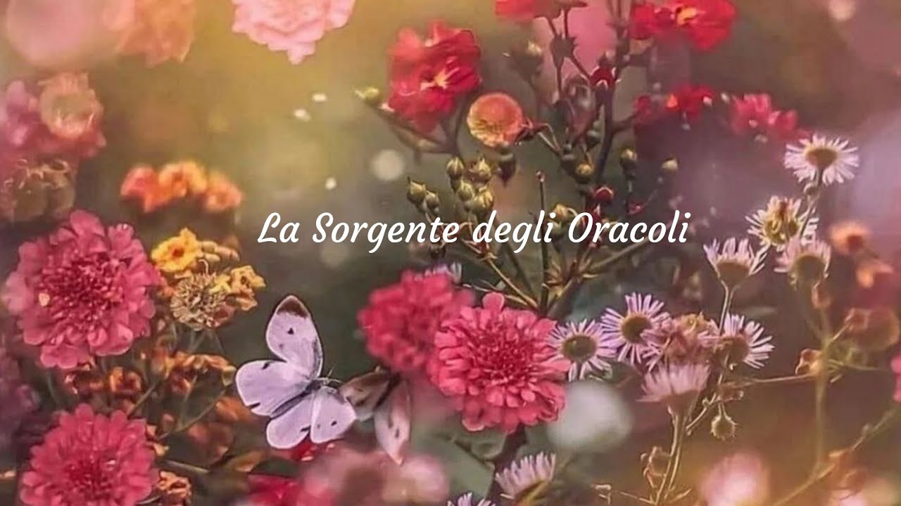 Chi ha fatto ritualistica nera e rossa contro di te? 🪶 