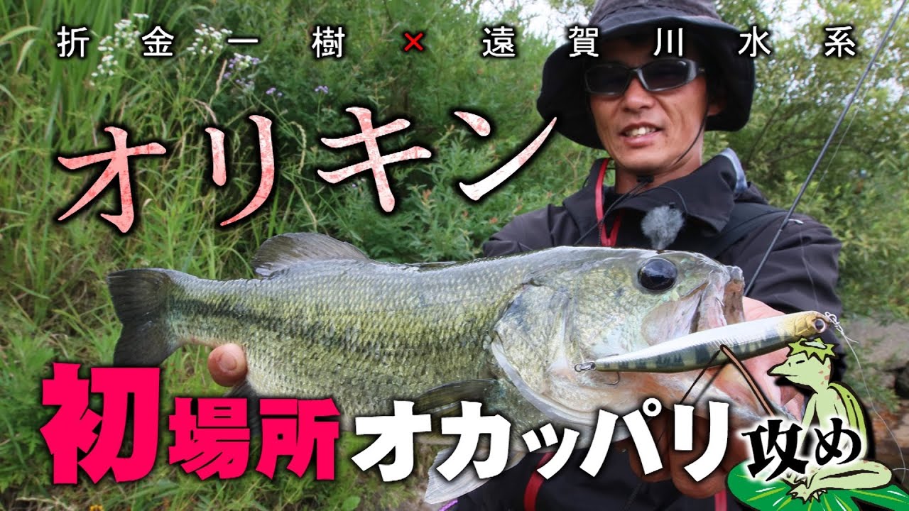 オリキン初場所オカッパリ攻め【初夏の遠賀川水系】