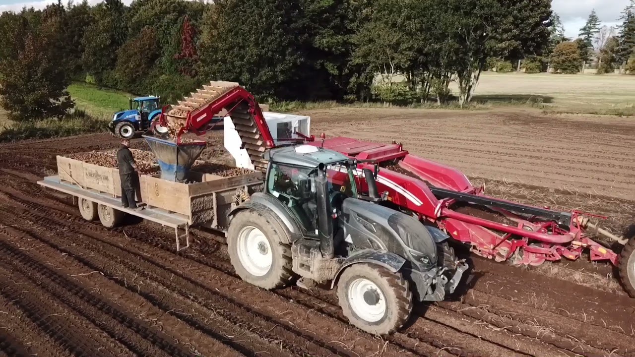 Harvesting Potatoes in Perthshire, October 2021 - Gourdie Farms Valtra T234 & Grimme GT170 Harvester