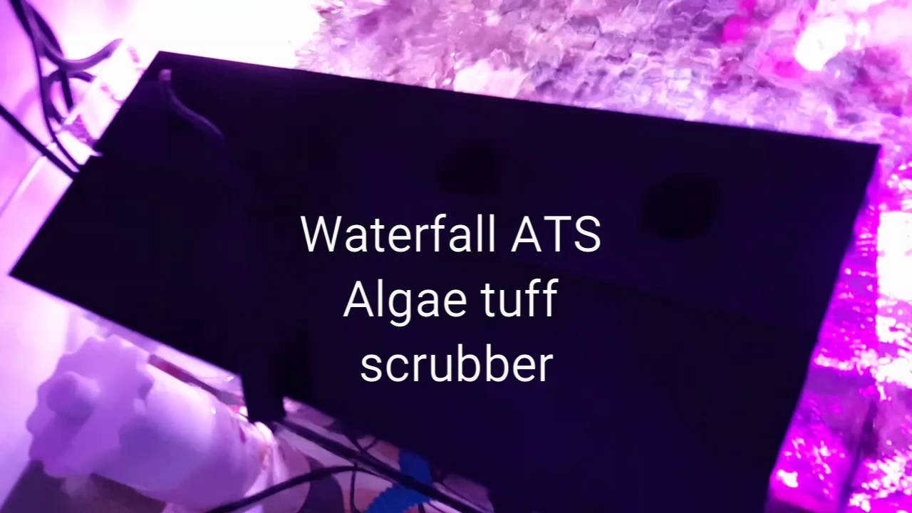 Water fall ATS alage tuff scrubber in action