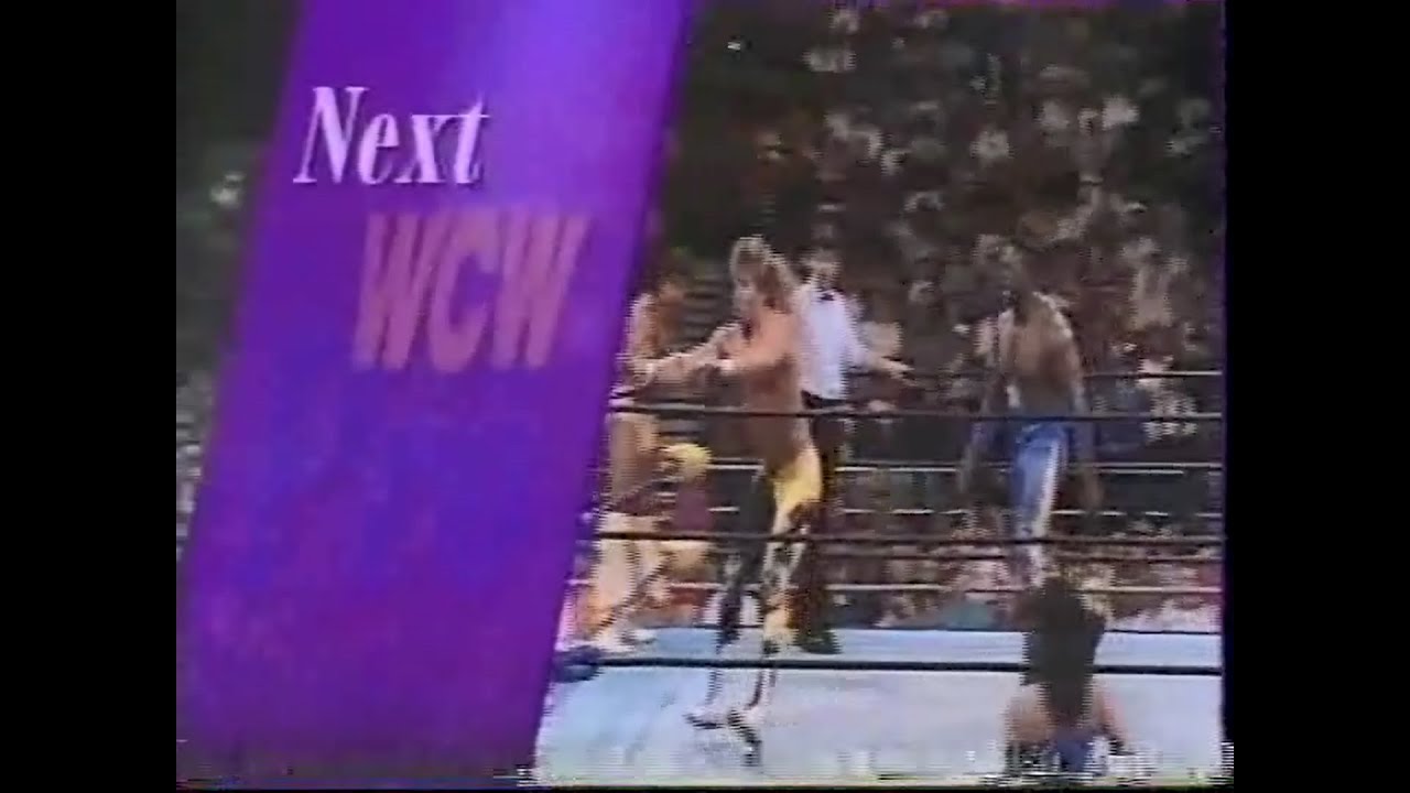 Johnny B Badd & Brian Pillman vs Harlem Heat   Pro April 22nd, 1995