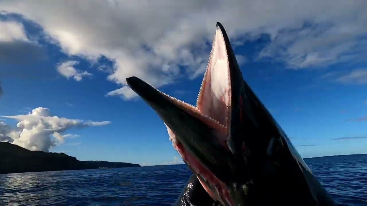 Wahoo Series Part 3 , catching wahoo with a spoon
