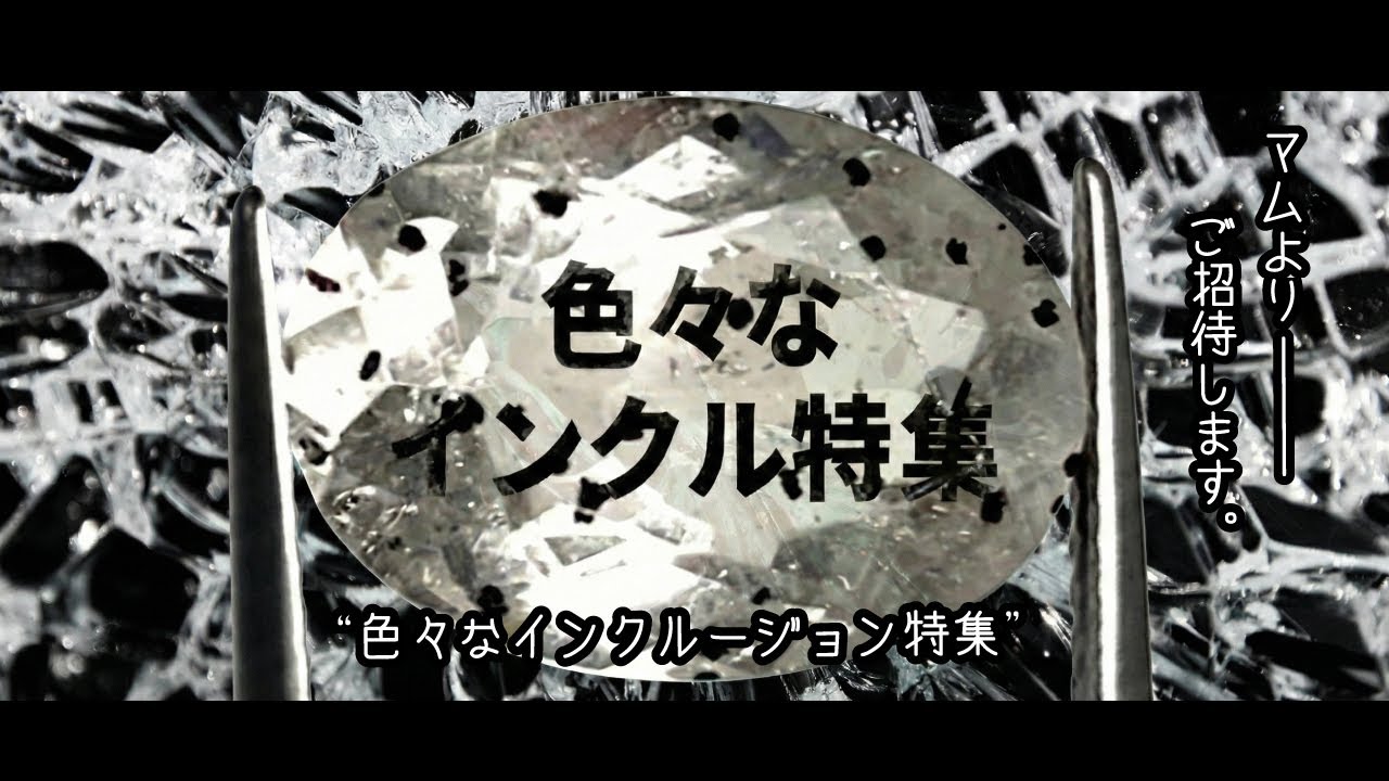 『色々なインクルージョン特集』