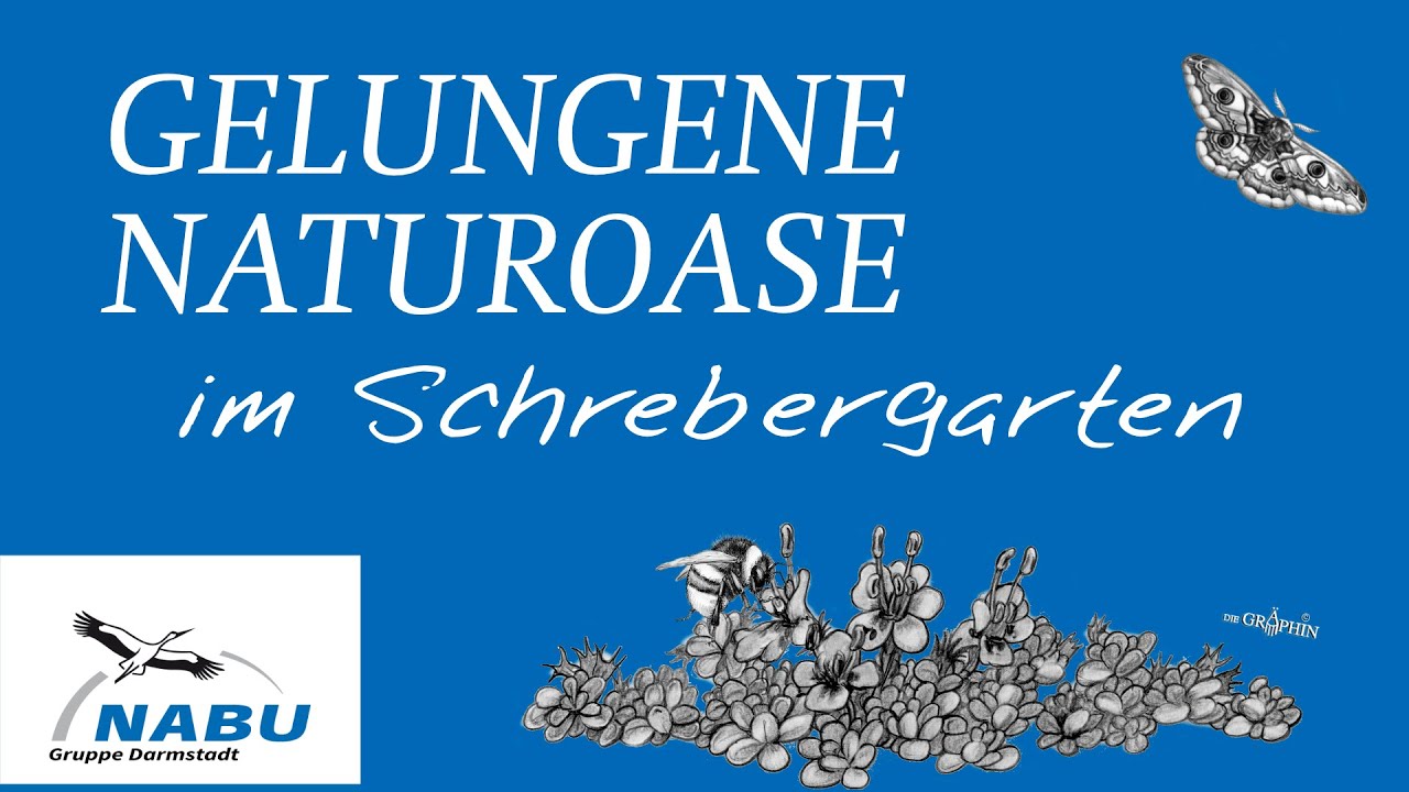 Naturgarten im Schrebergarten