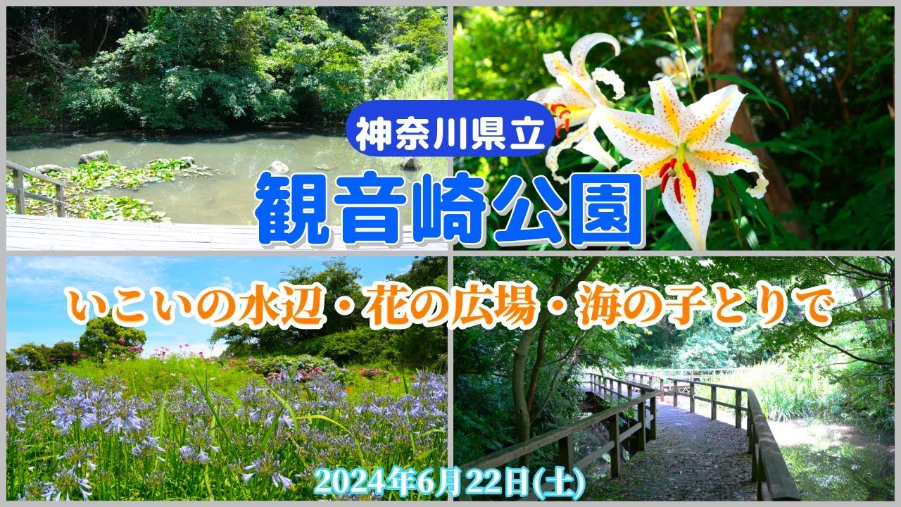 神奈川県立 観音崎公園｜いこいの水辺～走水展望広場～花の広場～海の子とりで～パークセンター