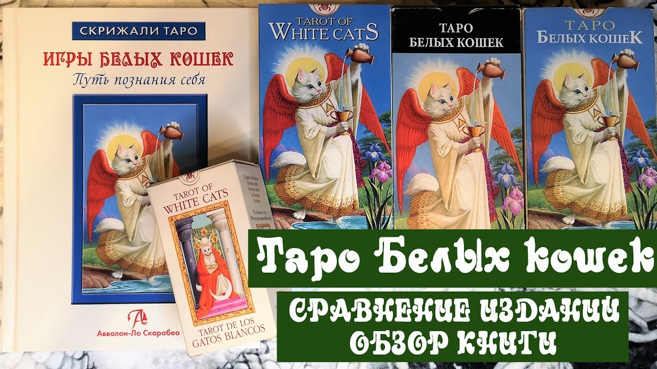 Таро Белых кошек (Tarot of White Cats) от Lo Scarabeo - Обзор и сравнение + Книга Игры Белых кошек