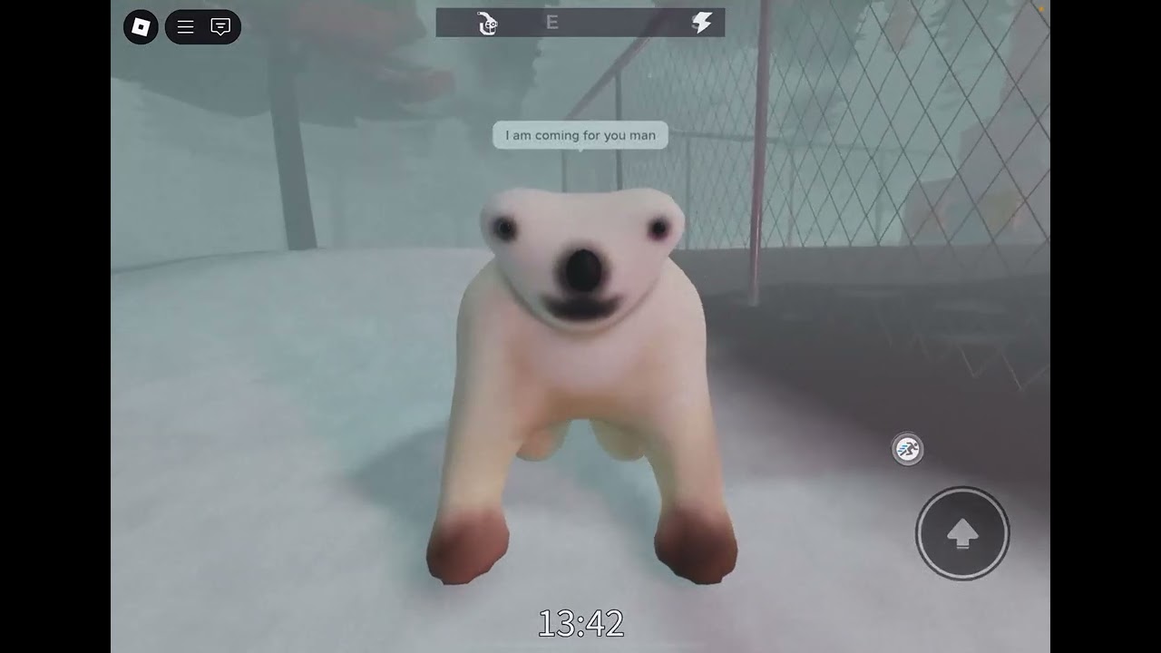 Run polar bear run￼￼ (medved)