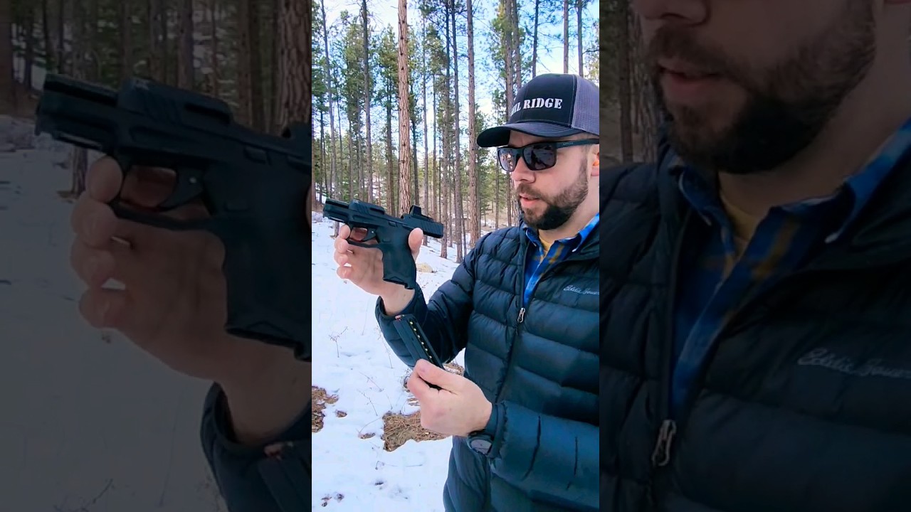 Компактный Taurus TX 22!! Подойдет ли к нему оригинальный магазин от TX 22?