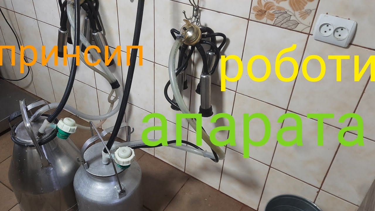 як користуватись доїльним апаратом || принсип роботи, та як підключати