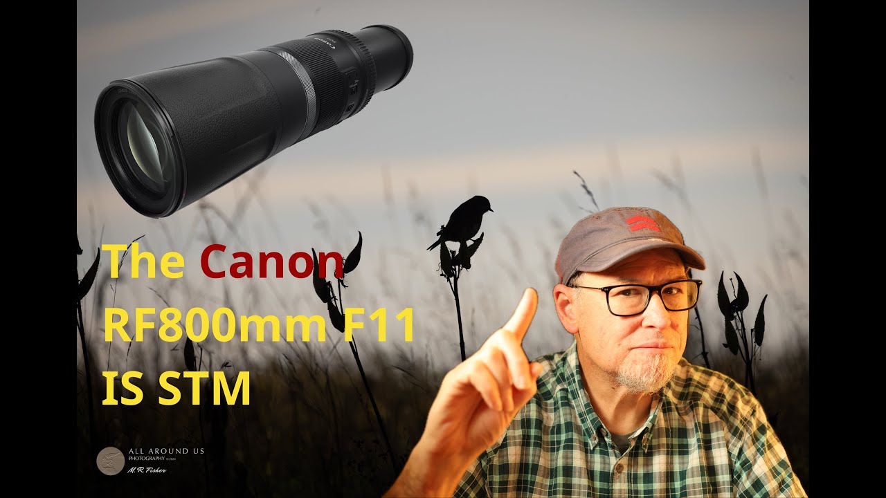 My Long Term Review of the Canon 800mm F11 IS STM