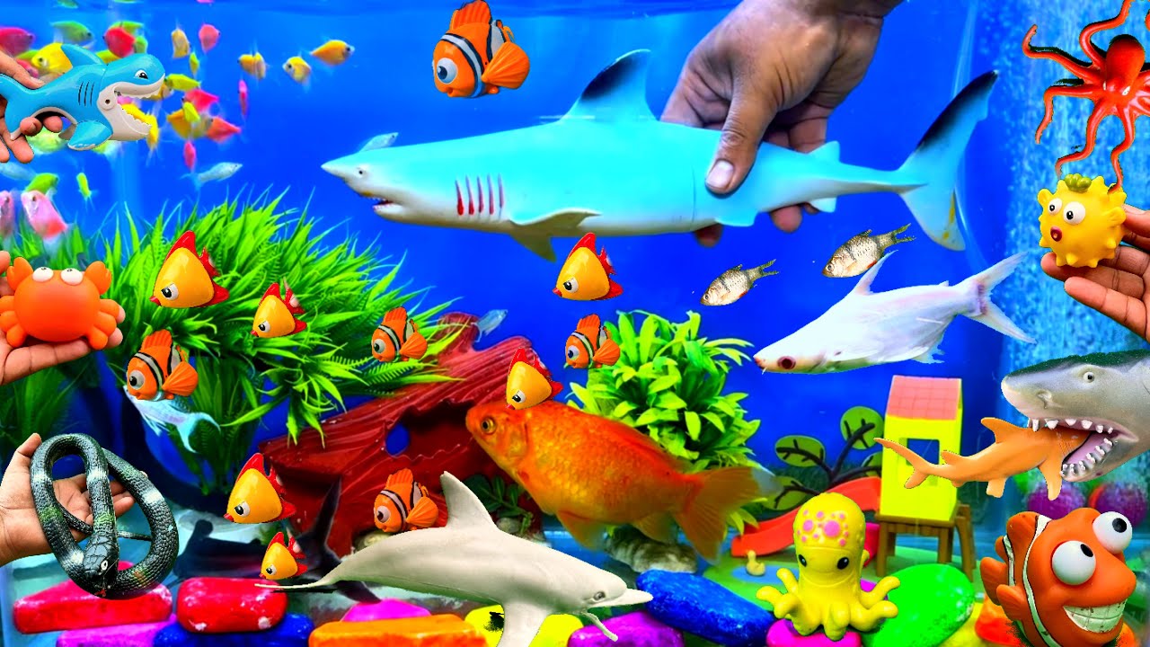 Shark Fish Toy | Little And Big Fishes Carp And Parrot Angle Fishes | Cute Sea Animals Water Pet Toy