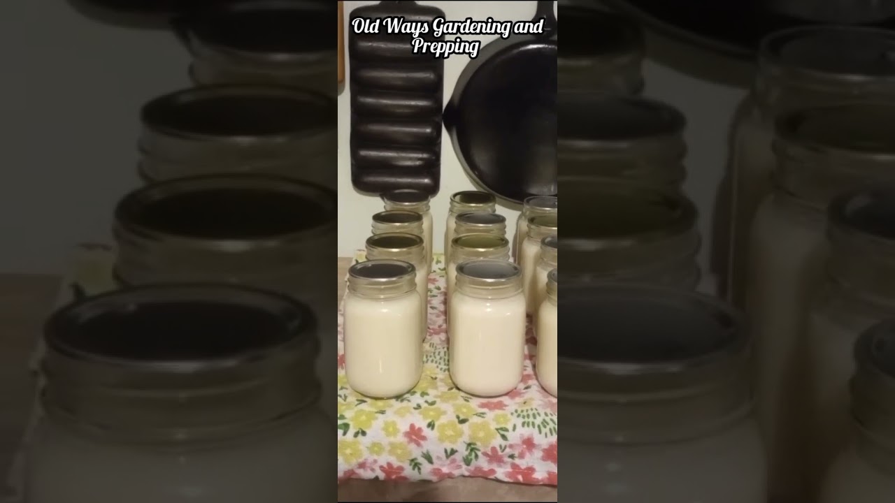 Homemade Fresh Rendered Tallow