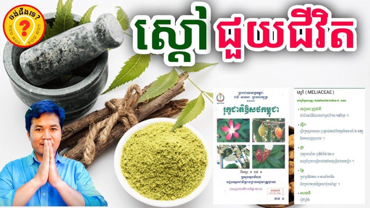 Khmer Traditional Medicine: Advantages of Neem (ស្ដៅ)