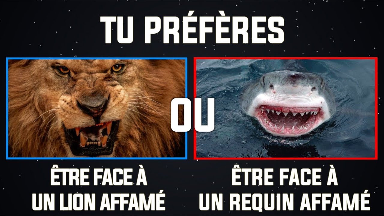 LES DILEMMES LES PLUS DIFFICILES AU MONDE ! part. 15