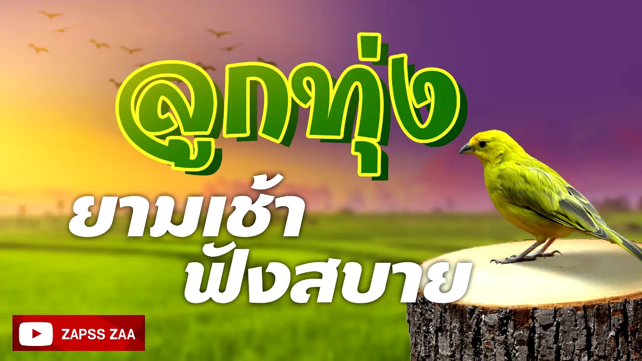 เพลงลูกทุ่งยามเช้าฟังสบาย/ รวมเพลงเพราะๆคูณภาพเสียงดี